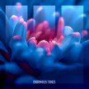 Daniel Portman & Croatia Squad - Own The Night