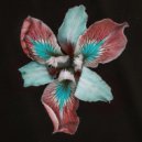 Tor & Catching Flies - Eleuthera (Catching Flies Remix)