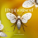 YampolSky, Rhytmograph - Hypnotised (Extended Mix)