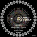 Richard C., Dr Edwards & 2HS B13 - Lost in Douro (Original Mix)