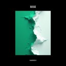 Sander X - Rise
