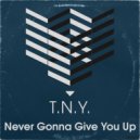 T.N.Y. - Never Gonna Give You Up (Club Mix)