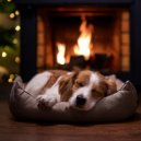 Sonidos de Bloqueo & Música para Dormir Perros & Radio Canina Relajante - Vibraciones Suaves De La Patita ()