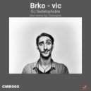 DJ Sedatophobia & Trevayne - Brko - vic (Trevayne Remix)