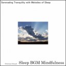 Sleep BGM Mindfulness - Soothing Emotions with the Melodies of Night