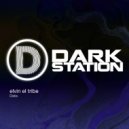 elvin el tribe - Data (Original Mix)