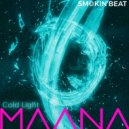 MAANA - Cold Light (Original Mix)
