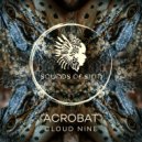 Acrobat - Neverland