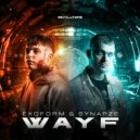 Exoform & Synapze - WAYF