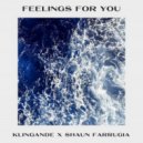 Klingande x Shaun Farrugia - Feelings For You