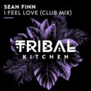 Sean Finn - I Feel Love