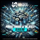 Dr Beats & Perfect Kombo - Alkaline ()