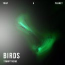 timmytheme - Birds (Ultra Slowed Mix)