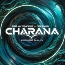 Peejay Vincent & OZLEMEK - Charana (Extended Mix)