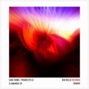 SANI NIMS, Praneeth.D - Flamingo (Original Mix)
