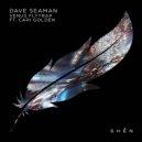 Dave Seaman, Cari Golden - Venus Flytrap (Extended Mix)