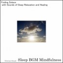 Sleep BGM Mindfulness - Embrace the Spirit of Neurologic Waves (Original Mix)