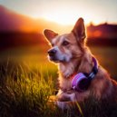Binaural Best Organic & Calming Dog Music Playlists & Brilliant Relaxing Dog Music - Smooth Canine Flow ()