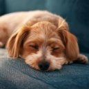 Albaricoque & Ansiedad De Los Perros & Bandas sonoras para perros durmiendo Deluxe - Diseño De Sonido Armonizado ()