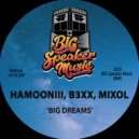 Hamooniii & Mixol & REBEX - BIG Dreams (Edit)