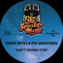 David Keyz & Pig Snatchers - Don\'t Wanna Stop (Edit)