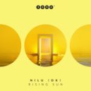 Nilu (DK) - Impulse