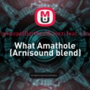 Royksopp,Barthez & Joezi feat. LIzwi - What Amathole (Arnisound blend)