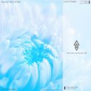 Aurora-bird (CHN) - Lost in Dreams (Original Mix)