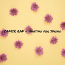 Zamir Raf - Waiting for Spring ()