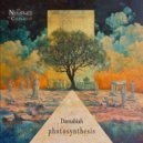 DAMABIAH - Photosynthesis (Original Mix)