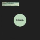 David Schumaier & Daniel Helmstedt - Fortuna (Original Mix)