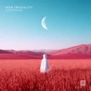 Non Triviality - Dreaming (Original Mix)