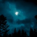Book Shop Music & Boutique Hotel Music & Brain Entrainment Mindware - Quiet Lullabies Prepare Bedtime ()