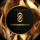 Cosmic Sonic Force - Curiositty (Original Mix)