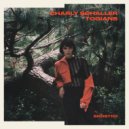 Charly Schaller feat. Susan Riot - Can't Move