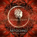 Netochno - Last Words (Extended Mix)