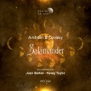 Amháin, Covsky - Salamander