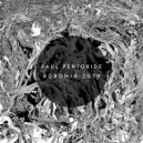 Paul Pentoxide - Asteroids