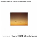 Sleep BGM Mindfulness - Nature’s Lullaby Flows, Quelling the Chaos of Sleep Disruption (Original Mix)