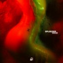 Spleezer - Guns In My Pocket (NOUS Remix)