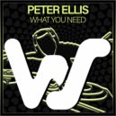 Peter Ellis - What You Need (Original Mix)