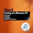 Seva K - Far Away