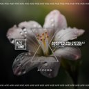 Andrea Falcetelli, Monika Kiss - Touch Me (Original Mix)