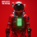 Surov Soul - The Cyborg (Original Mix)