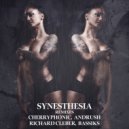 Quisan - Adrenaline Rush (Richard Cleber Remix)