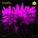 Pavel Bibikov - The Taste Of Schranz (Original Mix)