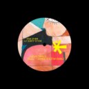 Riva Starr feat. Harry Stone - Chasing Thrills (Samer Soltan Extended Remix)