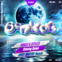 Force & Styles, Andy Whitby - Shining Down (Andy Whitby Remix)