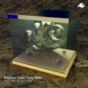 Tomy Wahl, Bilgehan Ünver - Like That (Original Mix)