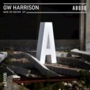 GW Harrison - My Side (Original Mix)